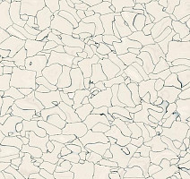 Кварцвиниловые полы Forbo Colorex SD 150202 фото 1 | FLOORDEALER